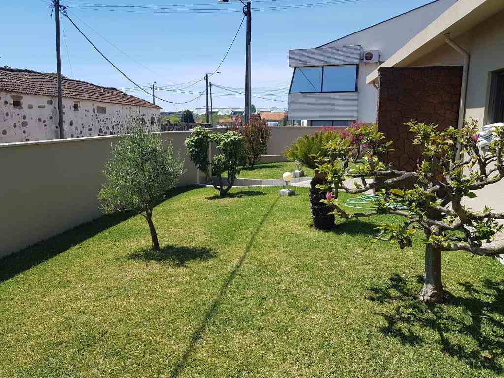 The sunny garden at Next to the Airport